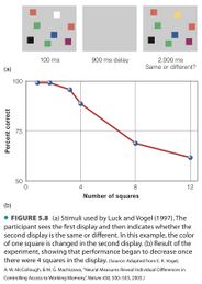 Figure 5.8